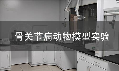 骨关节病动物模型实验