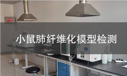 小鼠肺纤维化模型检测