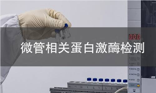 微管相关蛋白激酶检测 微管相关蛋白激酶检测