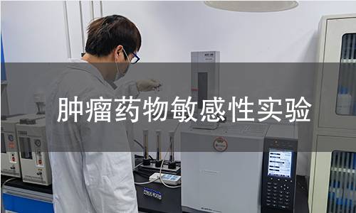 肿瘤药物敏感性实验 肿瘤药物敏感性实验