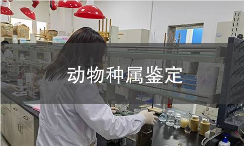 动物种属鉴定 动物种属鉴定