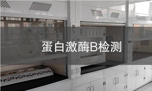 蛋白激酶B检测 蛋白激酶B检测