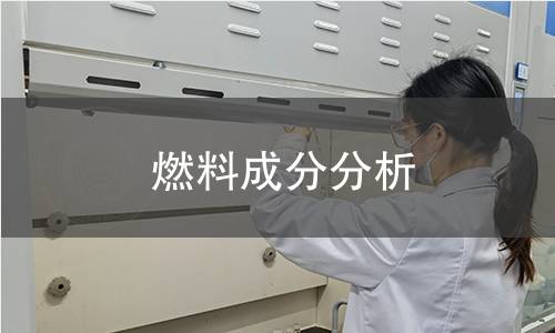 燃料成分分析 燃料成分分析