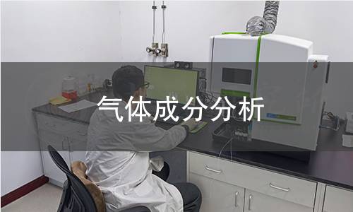 气体成分分析