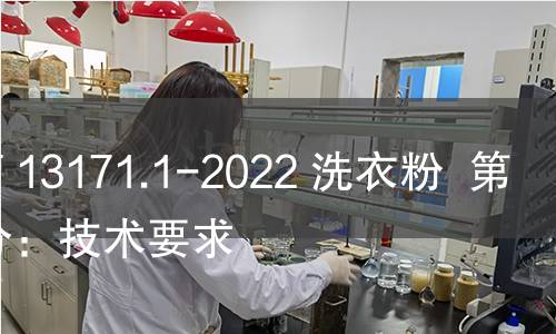 GB/T 13171.1-2022 洗衣粉  第1部分：技术要求