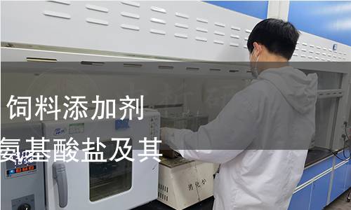 GB 7300.102-2019 饲料添加剂 第1部分：氨基酸、氨基酸盐及其类似物 甘氨酸