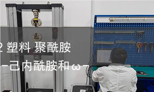 GB/T 41489-2022 塑料 聚酰胺 气相色谱法测定ε-己内酰胺和ω-十二内酰胺 GB/T 41489-2022 塑料 聚酰胺 气相色谱法测定ε-己内酰胺和ω-十二内酰胺