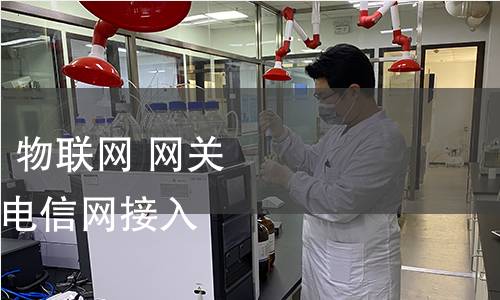GB/T 38624.2-2021 物联网 网关 第2部分:面向公用电信网接入的网关技术要求 GB/T 38624.2-2021 物联网 网关 第2部分:面向公用电信网接入的网关技术要求