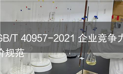 GB/T 40957-2021 企业竞争力评价规范 GB/T 40957-2021 企业竞争力评价规范