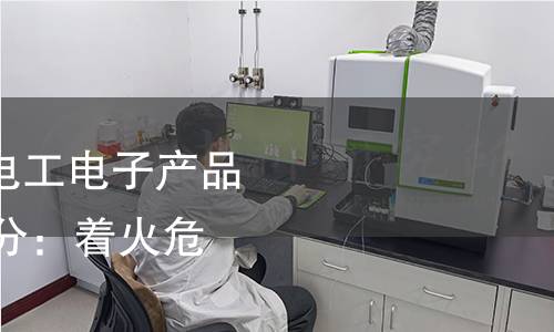 GB/T 5169.2-2021 电工电子产品着火危险试验 第2部分:着火危险评定导则 总则 GB/T 5169.2-2021 电工电子产品着火危险试验 第2部分:着火危险评定导则 总则