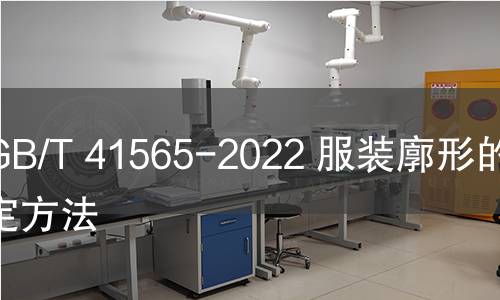 GB/T 41565-2022 服装廓形的判定方法 GB/T 41565-2022 服装廓形的判定方法