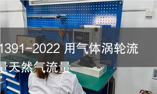 GB/T 21391-2022 用气体涡轮流量计测量天然气流量 GB/T 21391-2022 用气体涡轮流量计测量天然气流量