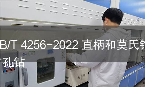 GB/T 4256-2022 直柄和莫氏锥柄扩孔钻 GB/T 4256-2022 直柄和莫氏锥柄扩孔钻