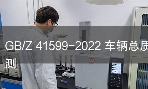 GB/Z 41599-2022 车辆总质量监测 GB/Z 41599-2022 车辆总质量监测