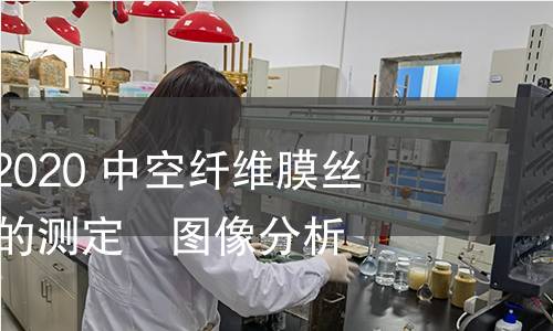 GB/T 38902-2020 中空纤维膜丝截面结构尺寸的测定　图像分析法