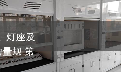 GB/T 21098-2022 灯头、灯座及检验其安全性和互换性的量规 第4部分：导则及一般信息
