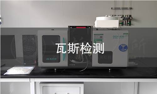 瓦斯检测 瓦斯检测