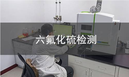 六氟化硫检测 六氟化硫检测