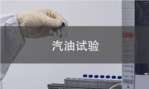 汽油试验 汽油试验