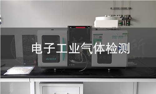 电子工业气体检测