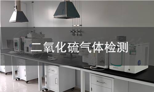 二氧化硫气体检测
