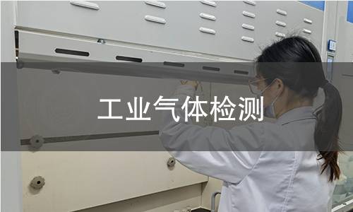 工业气体检测 工业气体检测