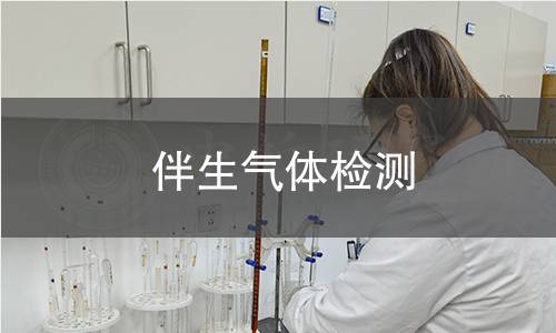 伴生气体检测