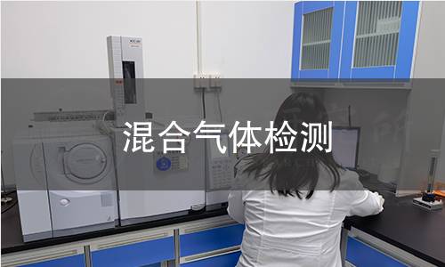 混合气体检测