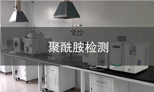 聚酰胺检测
