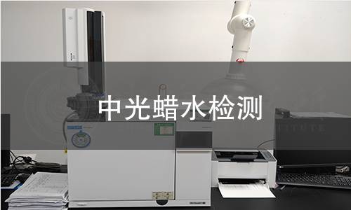 中光蜡水检测