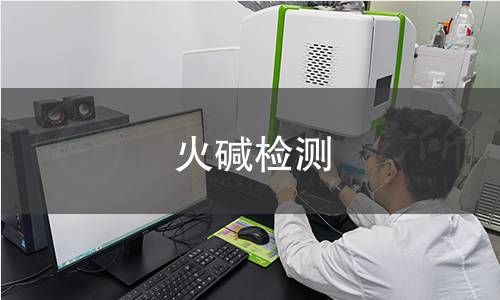 火碱检测 火碱检测