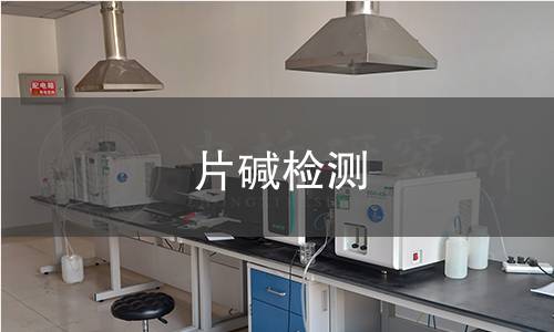 片碱检测