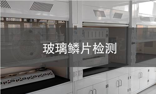 玻璃鳞片检测 玻璃鳞片检测