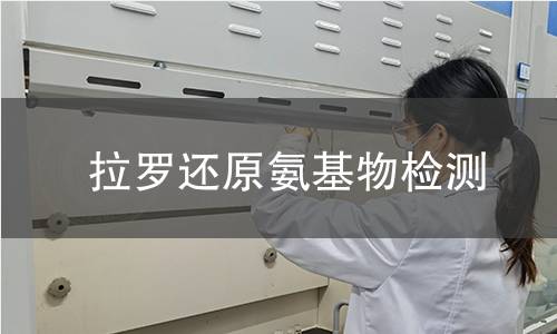 拉罗还原氨基物检测 拉罗还原氨基物检测