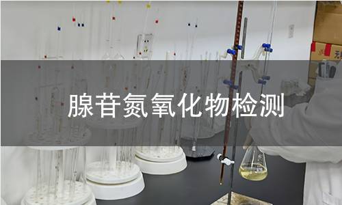 腺苷氮氧化物检测