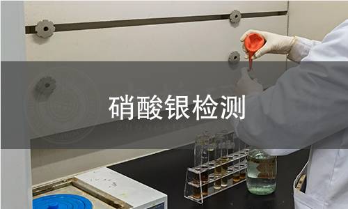 硝酸银检测