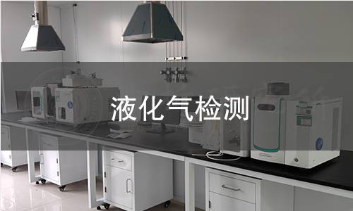 液化气检测 液化气检测