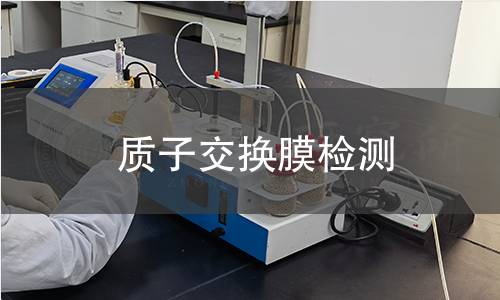 质子交换膜检测 质子交换膜检测