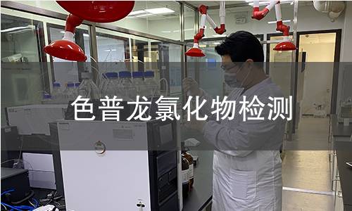 色普龙氯化物检测