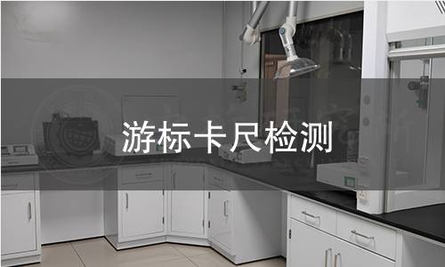 游标卡尺检测 游标卡尺检测